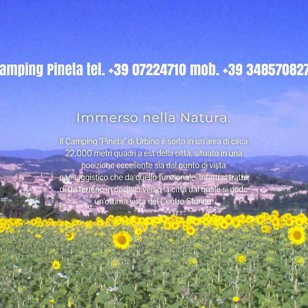 Hotel Camping Pineta Urbino Exterior foto